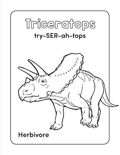 Dinosaur Book for Kids: Coloring Fun and Awesome Facts - Retail Maharaj