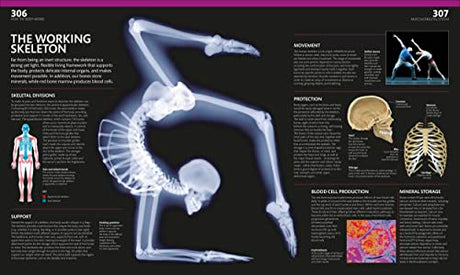 The Complete Human Body: The Definitive Visual Guide - Retail Maharaj