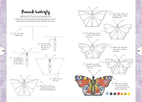 10 Step Drawing: Nature: Draw 60 Plants & Animals in 10 Easy Steps - Retail Maharaj