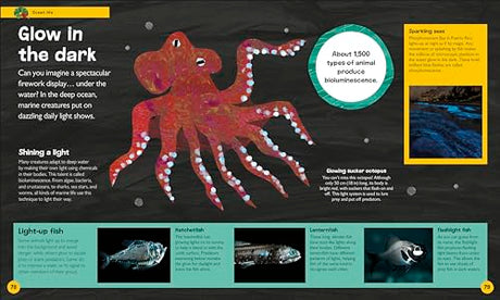 The Very Hungry Caterpillar's Very First Ocean Encyclopedia: An Introduction to the Ocean, for Very Hungry Young Minds - Retail Maharaj
