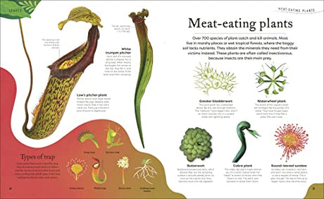 The Secret World of Plants: Tales of More Than 100 Remarkable Flowers, Trees, and Seeds - Retail Maharaj