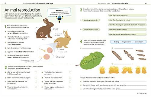 How to be Good at Science, Technology and Engineering Workbook 1, Ages 7-11 (Key Stage 2): The Simplest-Ever Visual Workbook - Retail Maharaj