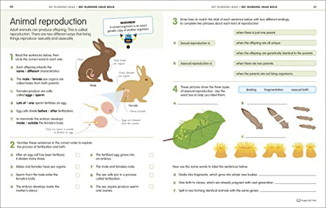 How to be Good at Science, Technology and Engineering Workbook 1, Ages 7-11 (Key Stage 2): The Simplest-Ever Visual Workbook - Retail Maharaj
