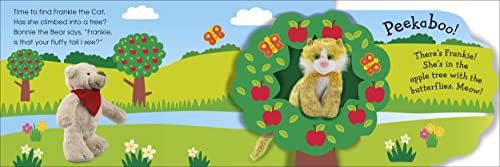 Pop-Up Peekaboo! Pets - Retail Maharaj