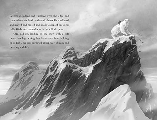The Last Bear - Retail Maharaj