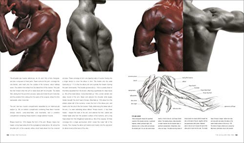 Anatomy for the Artist - Retail Maharaj