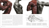 Anatomy for the Artist - Retail Maharaj