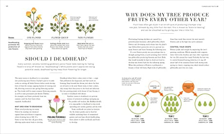 The Science of Gardening: Discover How Your Garden Really Grows - Retail Maharaj