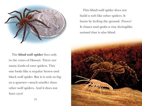Black Out!: Animals That Live in the Dark: Animals That Live in the Dark (Penguin Young Readers, Level 3) - Retail Maharaj