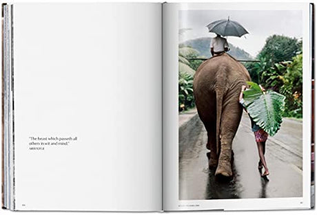 Steve McCurry. Animals - Retail Maharaj