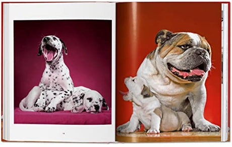 Walter Chandoha. Dogs. Photographs 1941-1991 - Retail Maharaj