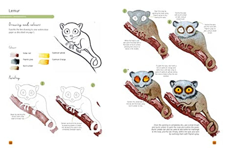 Paint 50: Watercolour Animals: From basic shapes to amazing paintings in super-easy steps - Retail Maharaj
