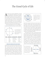The Secret Language of Birthdays: Your Complete Personology Guide for Each Day of the Year - Retail Maharaj
