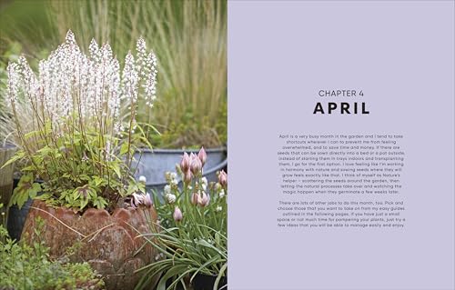 The Money-Saving Garden Year: A Month-by-month Guide to a Great Garden that Costs Less - Retail Maharaj