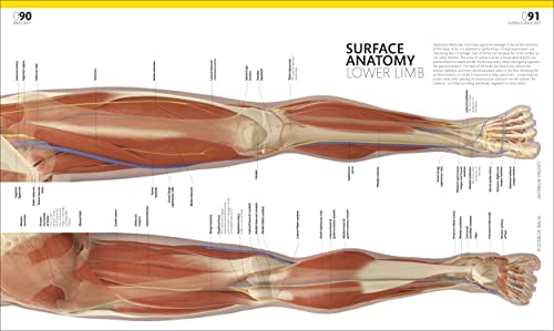 The Complete Human Body: The Definitive Visual Guide - Retail Maharaj