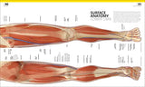 The Complete Human Body: The Definitive Visual Guide - Retail Maharaj