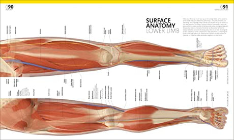 The Complete Human Body: The Definitive Visual Guide - Retail Maharaj