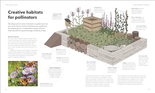The Raised Bed Book: Get the Most from Your Raised Bed, Every Step of the Way - Retail Maharaj