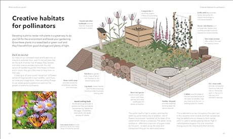 The Raised Bed Book: Get the Most from Your Raised Bed, Every Step of the Way - Retail Maharaj
