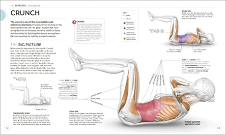 Science of HIIT: Understand the Anatomy and Physiology to Transform Your Body - Retail Maharaj