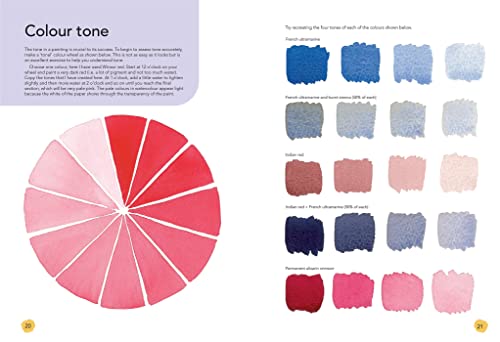 The Colour Mixing Companion: Your No-Fuss Guide to Mixing Watercolour, Acrylics & Oils (The Companion Series) - Retail Maharaj