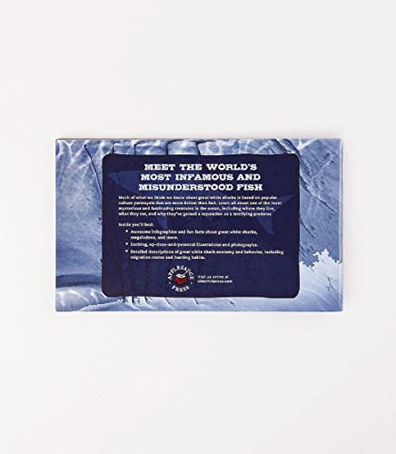 The Great White Shark 500-Piece Jigsaw Puzzle & Book - Retail Maharaj