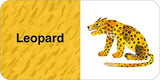 The World of Eric Carle: Big Box of Little Books - Retail Maharaj