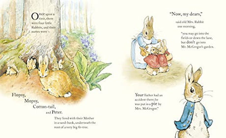 The Tale of Peter Rabbit Picture Book - Retail Maharaj