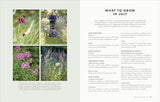 The Money-Saving Garden Year: A Month-by-month Guide to a Great Garden that Costs Less - Retail Maharaj