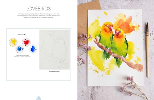 Simply Paint Birds: A Complete Watercolour Course for Beginners - Retail Maharaj