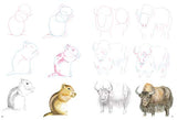 How to Draw: Mountain Animals: In Simple Steps - Retail Maharaj