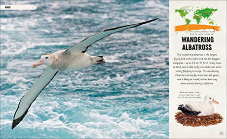 Amazing Animal Journeys: The Most Incredible Migrations in the Natural World - Retail Maharaj