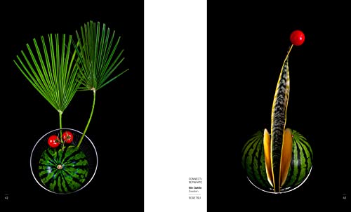 Ikebana Opposites Attract - Retail Maharaj