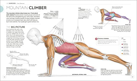 Science of HIIT: Understand the Anatomy and Physiology to Transform Your Body - Retail Maharaj