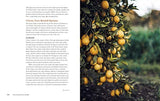 Fruit Trees for Every Garden: An Organic Approach to Growing Apples, Pears, Peaches, Plums, Citrus, and More - Retail Maharaj