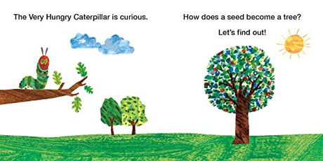 How Does a Seed Sprout?: Life Cycles with The Very Hungry Caterpillar - Retail Maharaj