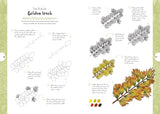 Botanicals: Draw over 50 Plants in 10 Easy Steps (10 Step Drawing) - Retail Maharaj