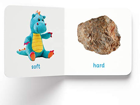My First Learning Library: Boxset of 20 Board Books for Kids | Includes ABC, Numbers, Shapes, Colors, Wild & Baby Animals, Fruits, Vegetables, Transport, Toys, Opposites, Flowers, Sea Animals, People at Work, Food, About Me & More | Early Learning for Bab - Retail Maharaj