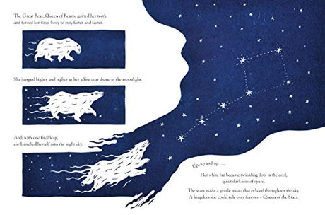 The Bear in the Stars - Retail Maharaj