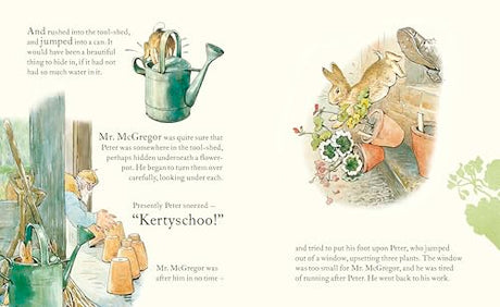 Peter Rabbit: Book and Toy Gift Set: The perfect present for babies and toddlers - Retail Maharaj
