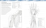 The Human Body Colouring Book: The Ultimate Anatomy Study Guide (DK Human Body Guides) - Retail Maharaj