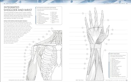 The Human Body Colouring Book: The Ultimate Anatomy Study Guide (DK Human Body Guides) - Retail Maharaj