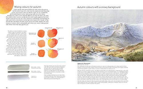 David Bellamy's Landscapes Through the Seasons in Watercolour - Retail Maharaj