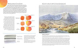 David Bellamy's Landscapes Through the Seasons in Watercolour - Retail Maharaj