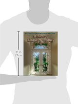 Windows of Enduring Beauty - Retail Maharaj