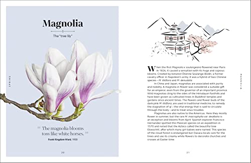 The Secret Language of Flowers - Retail Maharaj