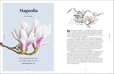 The Secret Language of Flowers - Retail Maharaj