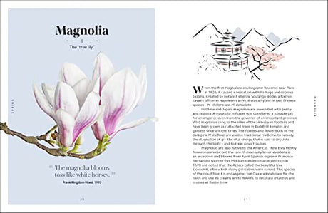The Secret Language of Flowers - Retail Maharaj