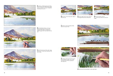 Ready to Paint with Terry Harrison: Watercolour Techniques, Tips and Projects for the Complete Beginner - Retail Maharaj