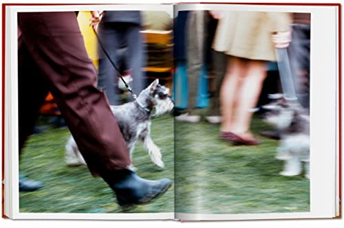 Walter Chandoha. Dogs. Photographs 1941-1991 - Retail Maharaj